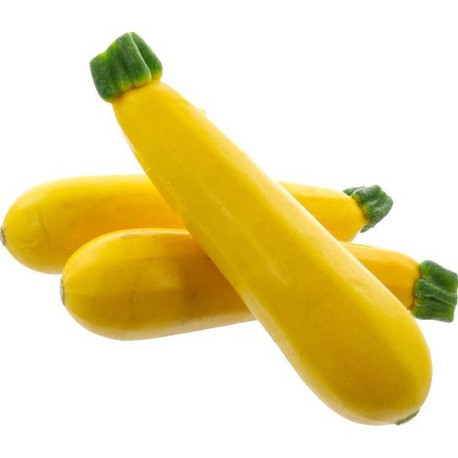 COURGETTE JAUNE 5KG